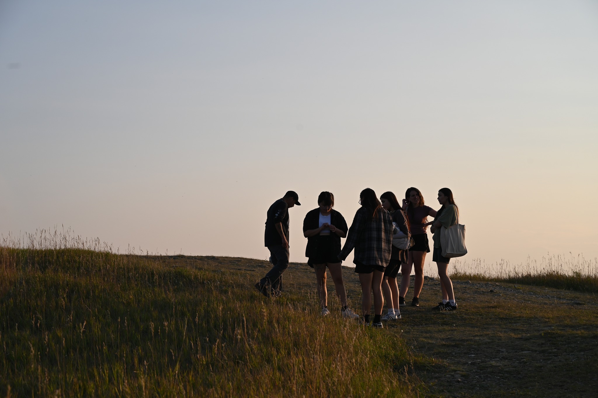 Indigenous Rising Treaty 7 hosted a beautiful plant walk with Tessa Wolfleg on September 11 at Nose Hill Park!
